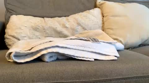 Snapshot of airmyles92 chatting on 11/06/25, 04:52 canadianboy92 online show from 11/06/25, 04:52