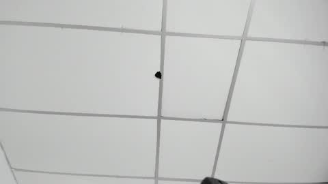 akiraht online show from 11/01/25, 08:00