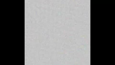 Alaia online show from 10/16/25, 11:33