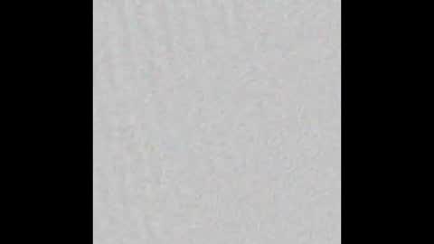 Alaia online show from 11/11/25, 11:21