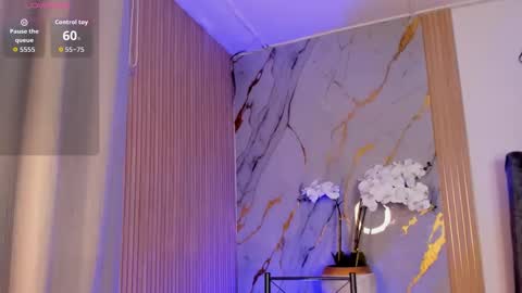   Schedule 700a.m - 200p.m Col hour online show from 11/12/25, 12:27