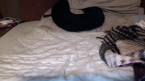 Snapshot of albertalbert9 chatting on 12/13/24, 07:25 albertalbert9 online show from 12/13/24, 07:25