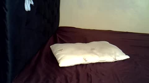 Snapshot of alexa_foxxie chatting on 12/23/24, 06:27 Alexa online show from 12/23/24, 06:27