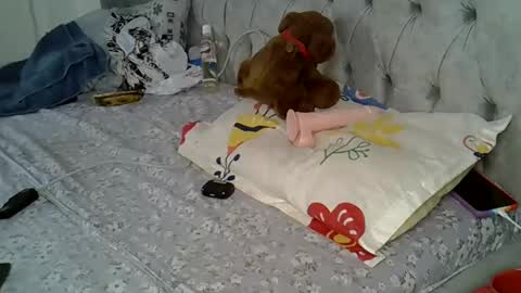 Snapshot of alexa_foxxie chatting on 02/16/25, 03:05 Alexa online show from 02/16/25, 03:05