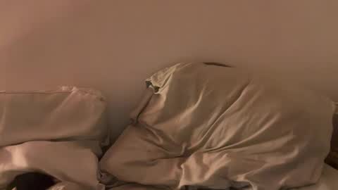 Snapshot of alicehugo chatting on 01/27/25, 12:12 alicehugo online show from 01/27/25, 12:12