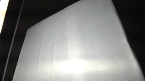 Snapshot of alicia_wonder_dl chatting on 03/11/25, 11:55 Ali online show from 03/11/25, 11:55