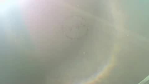 ALISON WOOD online show from 11/17/25, 03:07