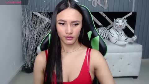 Snapshot of allisson_a chatting on 12/21/24, 03:47 Allisson online show from 12/21/24, 03:47