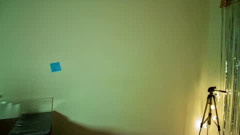 Alli online show from 11/07/25, 04:45