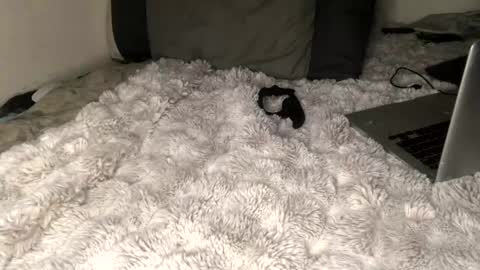 allthewayup10 online show from 03/02/25, 08:38