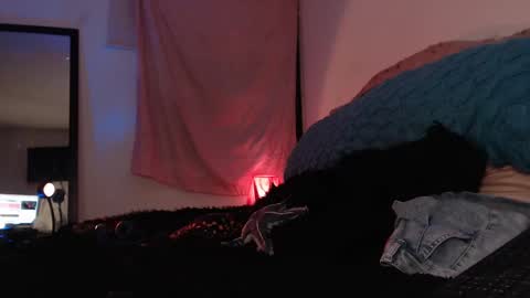Snapshot of ally_donfort chatting on 02/16/25, 12:52 Ally online show from 02/16/25, 12:52