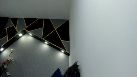 Snapshot of almma_ chatting on 01/14/25, 03:04 ALMMA online show from 01/14/25, 03:04