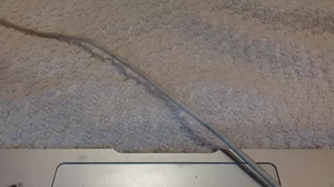 Snapshot of alongwhitedick chatting on 03/12/25, 09:45 ALongwhitedick online show from 03/12/25, 09:45