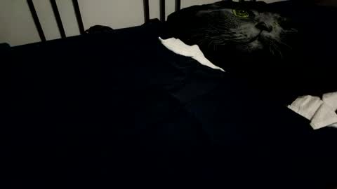 Snapshot of amadeusz chatting on 12/06/24, 10:19 amadeusz online show from 12/06/24, 10:19