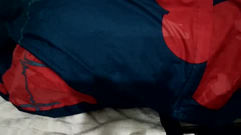 Snapshot of amadeusz chatting on 12/22/24, 01:34 amadeusz online show from 12/22/24, 01:34