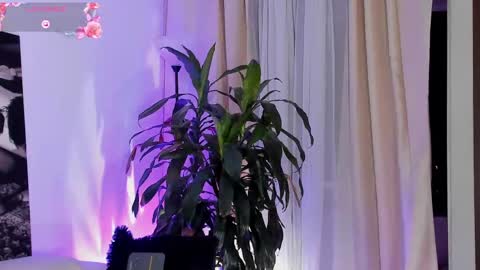 Snapshot of amatistahot1 chatting on 09/22/25, 11:51 Amatista online show from 09/22/25, 11:51