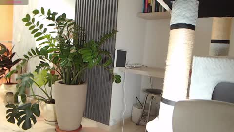 Ambar online show from 01/22/25, 04:02