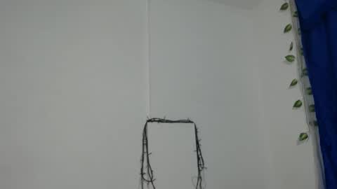 Snapshot of ambel_rose chatting on 12/11/24, 01:05 ambel_rose online show from 12/11/24, 01:05