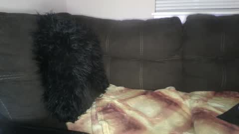 amiri_sweater online show from 02/25/25, 06:36