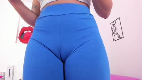 Snapshot of amisi_ari chatting on 01/24/25, 06:46 hi guys im ariani ill be off till december 1st for vacation if u want u can add me on snapchat by bio and talk or play there online show from 01/24/25, 06:46