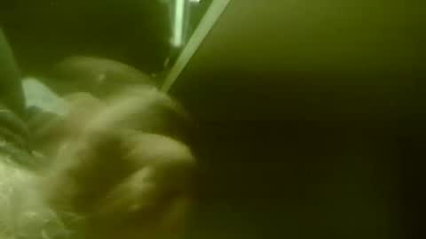 amolafica12 online show from 11/20/25, 08:03