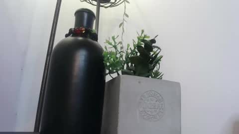 Amy  online show from 02/04/25, 05:23