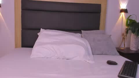 A N A online show from 11/18/25, 07:07