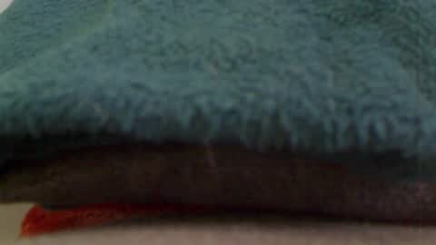 anaiserebel online show from 01/04/25, 07:34