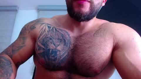 Snapshot of andrew_holden__ chatting on 02/15/25, 02:37 andrew_holden__ online show from 02/15/25, 02:37