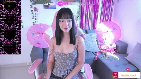 Snapshot of aneko_morii chatting on 12/12/24, 02:33 online show from 12/12/24, 02:33