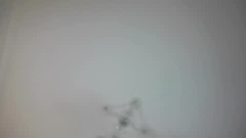 Snapshot of angry_tomato_ chatting on 02/19/25, 03:16 Lera My next stream on November 30 online show from 02/19/25, 03:16