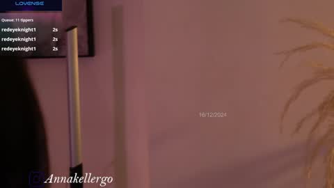 Snapshot of annakellergo chatting on 12/16/24, 11:18 Anna k online show from 12/16/24, 11:18