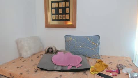 anna online show from 02/26/25, 05:07