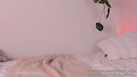 o ANTO online show from 01/22/25, 03:07