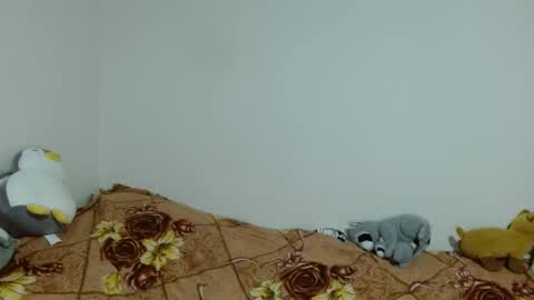 apache_710 online show from 11/20/25, 02:34