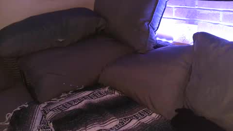 Snapshot of aphrodite_ash chatting on 09/25/25, 07:56 Shy Happy Pair online show from 09/25/25, 07:56