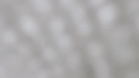 April online show from 12/11/24, 11:54