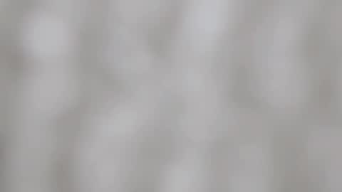 April online show from 12/29/24, 03:00