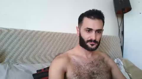 Snapshot of arabhairy90 chatting on 12/09/24, 08:33 hairycub online show from 12/09/24, 08:33