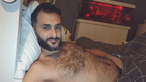 Snapshot of arabhairy90 chatting on 12/24/24, 09:00 hairycub online show from 12/24/24, 09:00