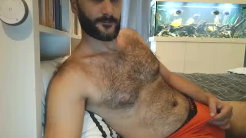 Snapshot of arabhairy90 chatting on 12/25/24, 09:24 hairycub online show from 12/25/24, 09:24