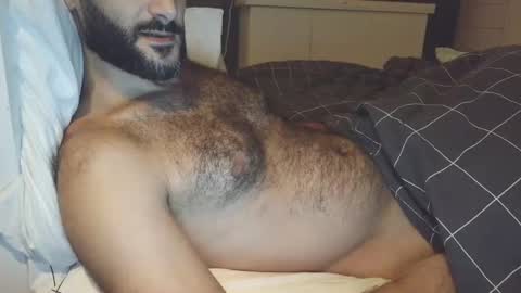 Snapshot of arabhairy90 chatting on 12/25/24, 07:34 hairycub online show from 12/25/24, 07:34