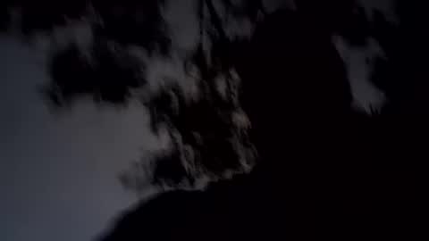 Snapshot of archangel__michael chatting on 01/19/25, 11:34 ARCHANGEL MICHAEl online show from 01/19/25, 11:34