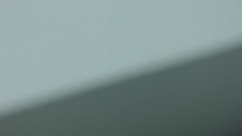 Snapshot of ariadna_6 chatting on 10/20/25, 03:29 ...Ariana... online show from 10/20/25, 03:29