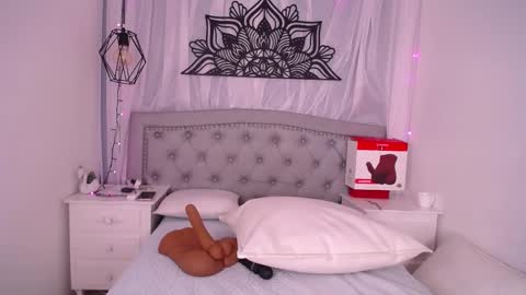 Snapshot of ariana_ceballos chatting on 02/23/25, 06:34 ARIANA online show from 02/23/25, 06:34