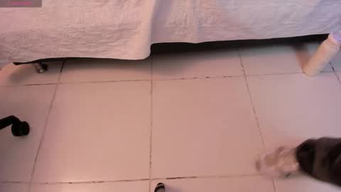 Aria White online show from 11/26/25, 11:55