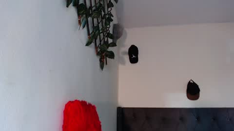 Snapshot of arielbronwxxx chatting on 01/29/25, 07:11 chris online show from 01/29/25, 07:11