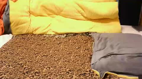 Snapshot of ashlery_ chatting on 11/17/25, 04:18 ashlery online show from 11/17/25, 04:18