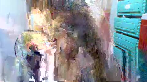 sweet feb online show from 11/07/25, 12:16