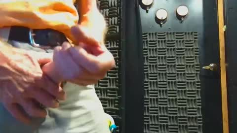 aussieraz online show from 11/04/25, 08:02